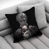 B-Baldurs G-Gate 3 Astarion Throw Pillow Case For 55x55cm 40x40cm 45x45cm 50x50cm 30x30cm Square Office Pillowship Cover