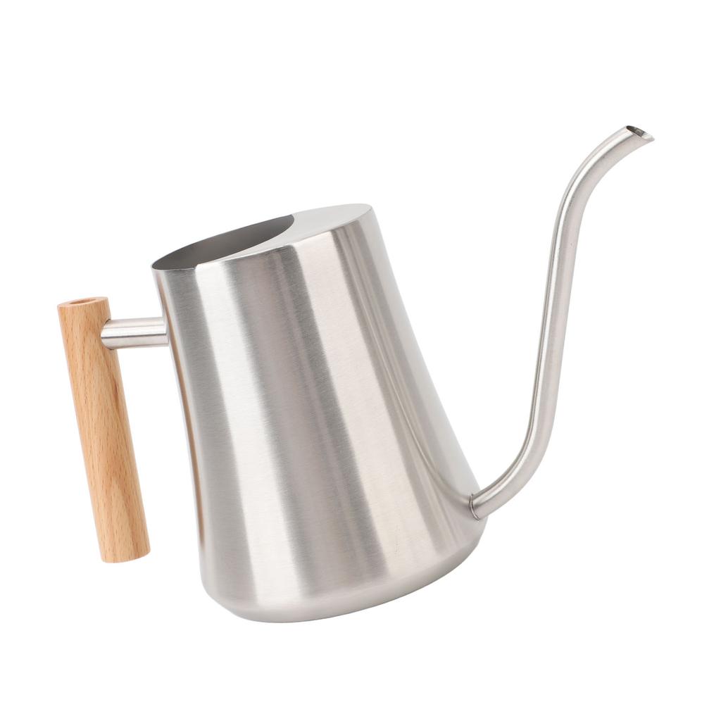 Indoor Watering Can Stainless Steel Wooden Handle Watering Pot with Spout for House Plants Flowers Succulents Bonsai 1L