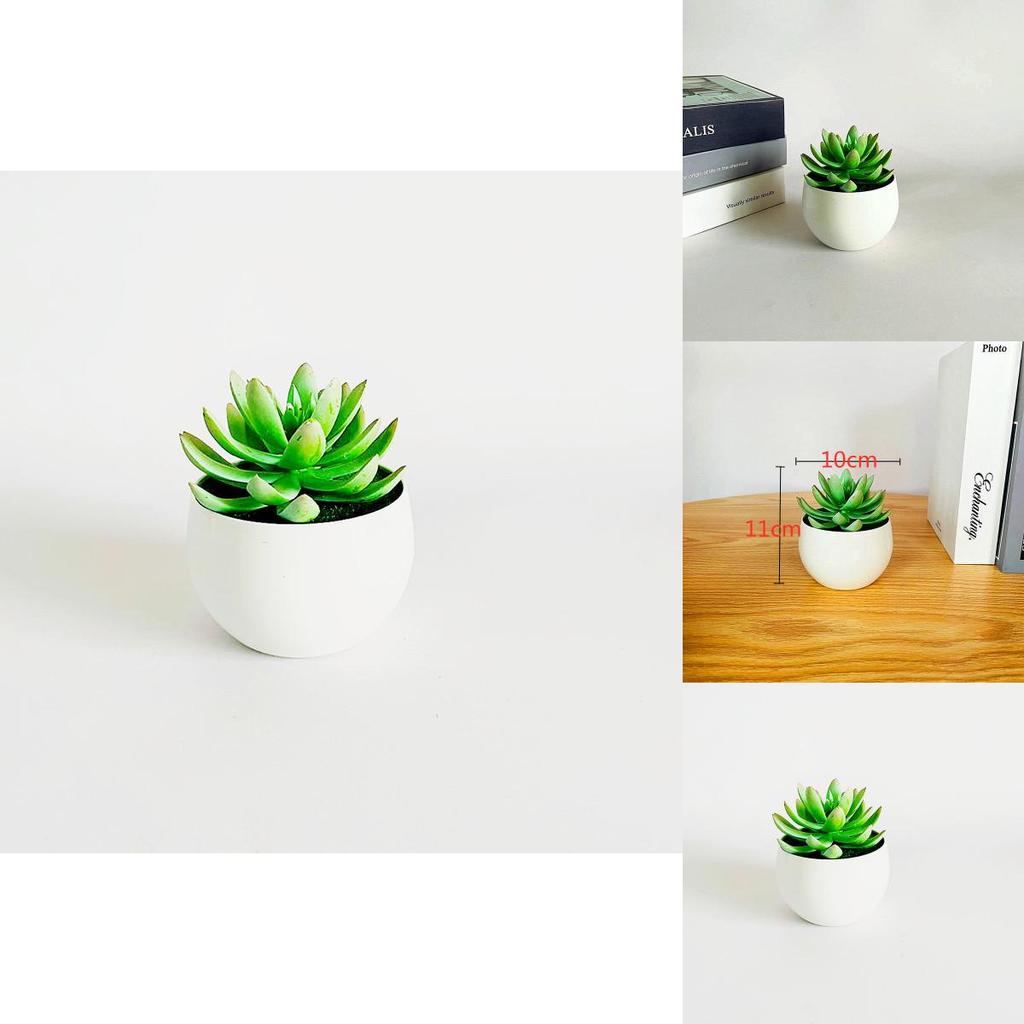 Imitation Succulent Plant Container With Durable Pvc For Home Interior Decoration