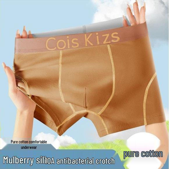 

Teen Boys Mulberry Silk Antibacterial Cotton Boxer Briefs M (30-40 kg) хаки