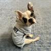 Dog Clothes Winter Warm Dog Hoodie Dog Sweater Small and Medium-Sized Dogs S-9XL Size Comfortable Plus Velvet Warm