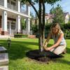 Tree Ring Mulch Mat Non-Woven Heavy Duty Reusable Cover Tree Plant Protector Mat for Outdoor Plant Landscaping Gardening Ground