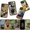 Phone Cover Animal Wild Boar Pig Casing for Apple iPhone 16 15 14 Plus 13 12 Mini 17 Pro Max + ProMax 16E Air 15+ Case
