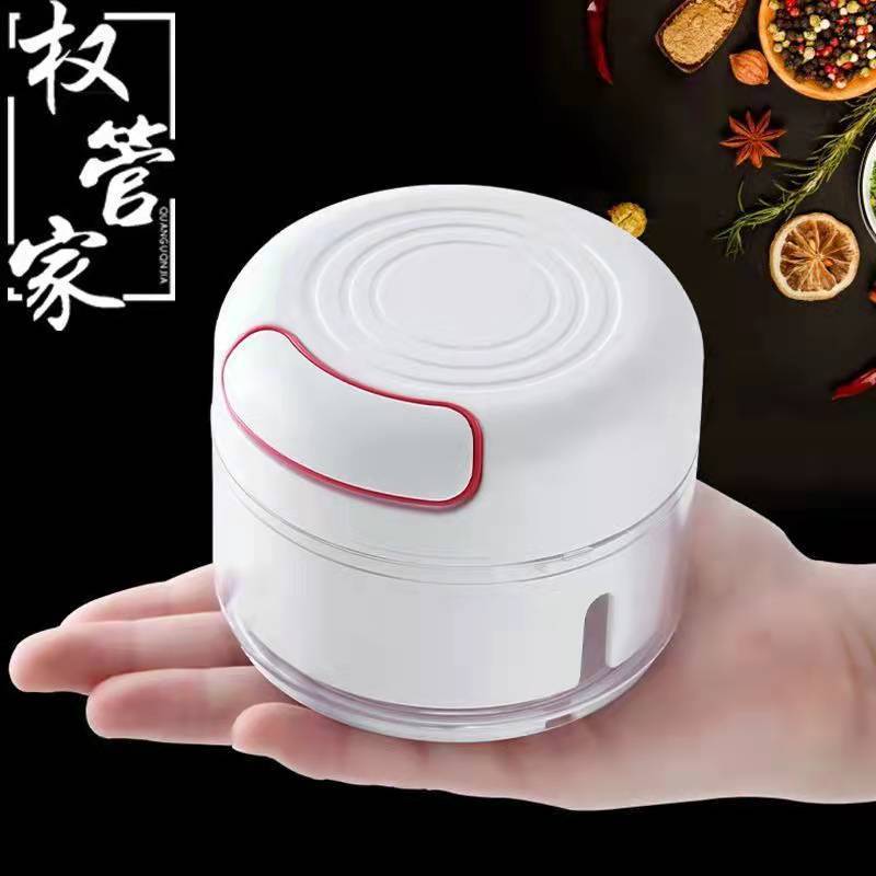 Manual Garlic Chopper Kitchen Mini Meat Grinder Multifunction Rotate Vegetable Cutter Mincer Mixer Stainless Steel Garlic Masher