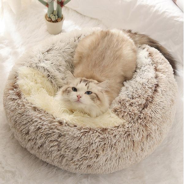 cat bed mat