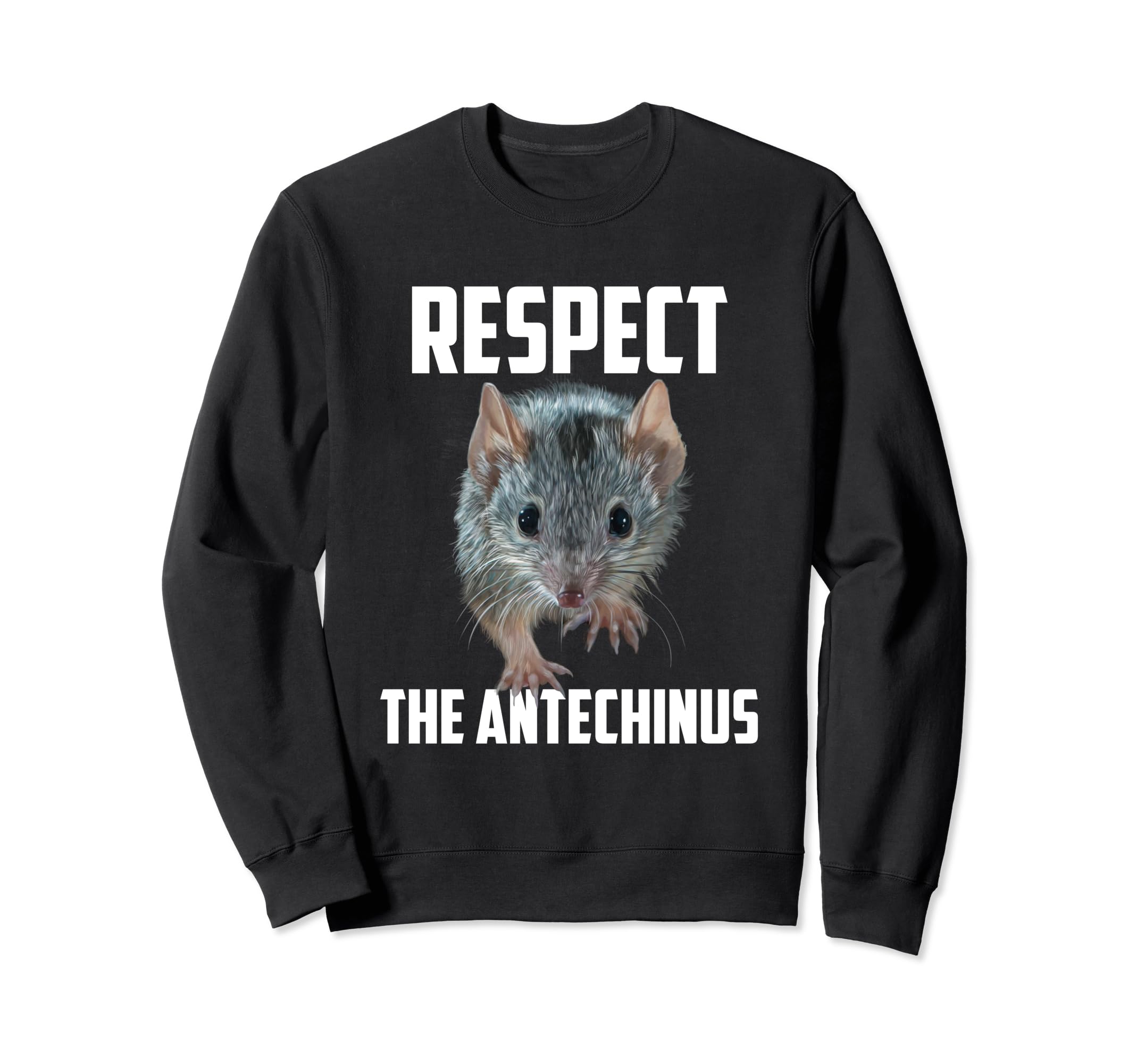 Trainers appreciate the humor of the amusing marsupial mouse, Antechinus.