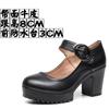 6cm 8cm 10cm Small Size 32-43 Shallow Comfortable Genuine Leather Shoes Women Pumps 2025 Fall Block High Heels Mary Janes Work