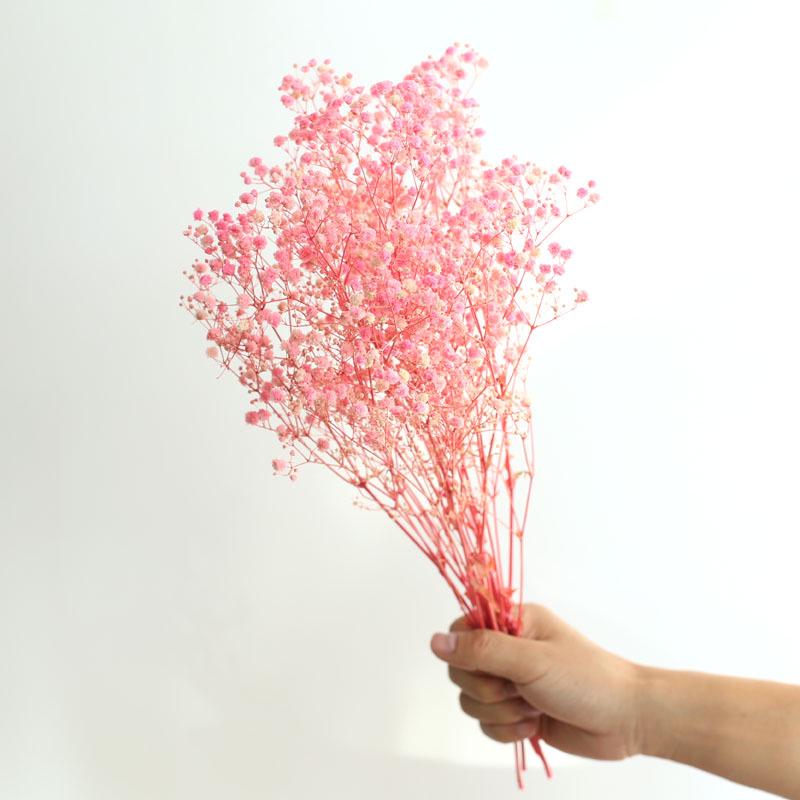 Yunnan Dried & Immortal Flowers Bouquet: Baby's Breath, Roses, Forget-Me-Nots for Home & Homestay Decor