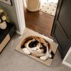 Diatomite Cat Print Doormat Non-slip Pet Floor Mat Cute Entryway Rug  Hallway