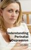 The Understanding Perinatal Depression Book