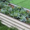 Modular Metal Garden Bed Planter for Vegetables and Flowers