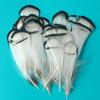 Pheasant Hair Copper Chicken White Head Slices 4-8Cm Small Feather Crafts Decorative Paintings Accessories Decorative Materials