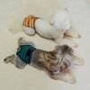 Soft Period Pants Pantie Soft Nappies Suspender for Girls Dog Reusable Doggies Period Diaper Incontinence