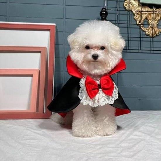 Pet Halloween costume vampire cape dog cat funny wear easy put on take off disguise party Christmas photo commemorative shooting