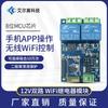 12V Dual-Channel Bluetooth Relay IoT Smart Home Android Phone APP Remote Switch
