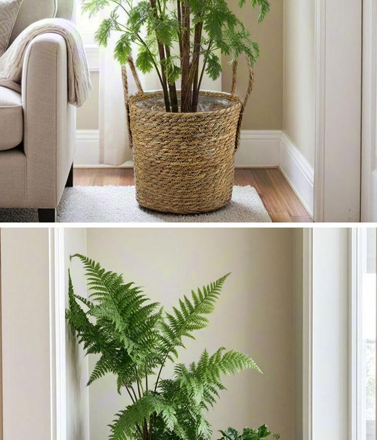 Handcrafted Straw Rope Indoor Plant Basket with Liner