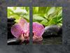 GLAS-KOCHFELD-SCHUTZPLATTE 70x52 ORCHIDEE