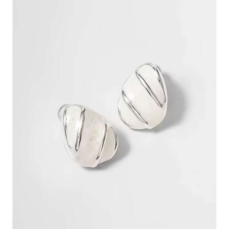 1011 New Premium Light Luxury Water Drop Pendant Earrings Women's Earrings French Temperament Versatile Earrings Jewelry