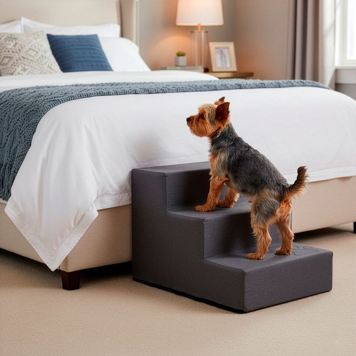 Escalier pour chiens et chats - SPRINGOS - 3 Marches PA03 - Antidérapant - Mousse haute densité 30D - Charge 25 kg