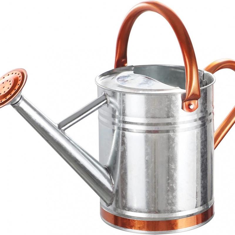 4L Premium Dual-Use Watering Can for Flowers (European & American Style)
