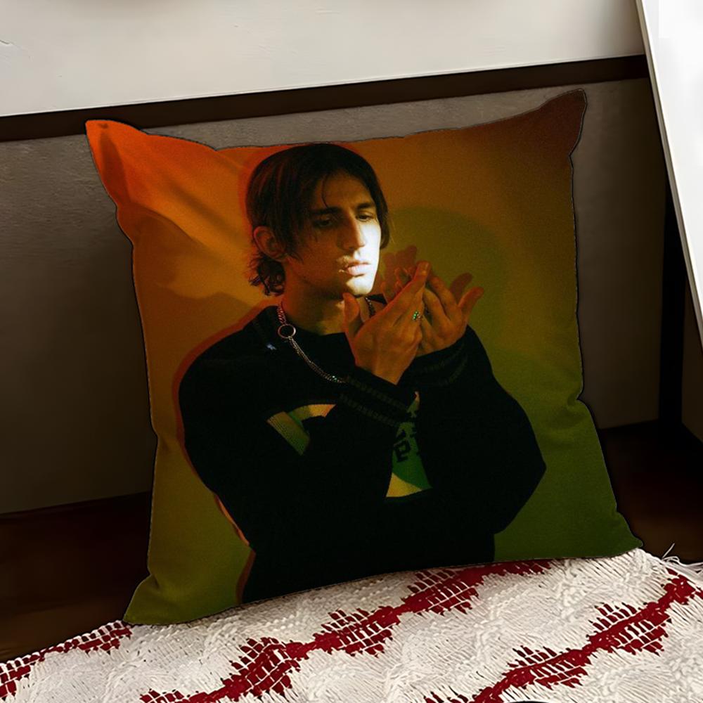 Singer PPorter RRobinson Cushion Cover Reversible Soft Durable Pillow Cover Home Car MultiScene Use for Daily Comfort