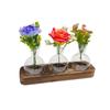 Hydroponic Glass Vase with Wooden Base - Desktop and Living Room Green Radish Ornament