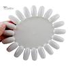 Puntos Nail Art 20 Colors Acrylic False Tip Practice Round Wheel Mould DIY Display Tool