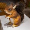 Simulation Squirrel Plush Toy: Comfort Doll for Kids, Unisex Birthday Gift