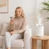 2 Liter Large Capacity Humidifier with Single Nozzle High Mist Output for Home Use Quiet Operation and Easy Maintenance