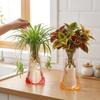 5Pcs Folding Hydroponic Floral Vase Collapsible Plant Containers Easy To Clean Expandable Vase  Room