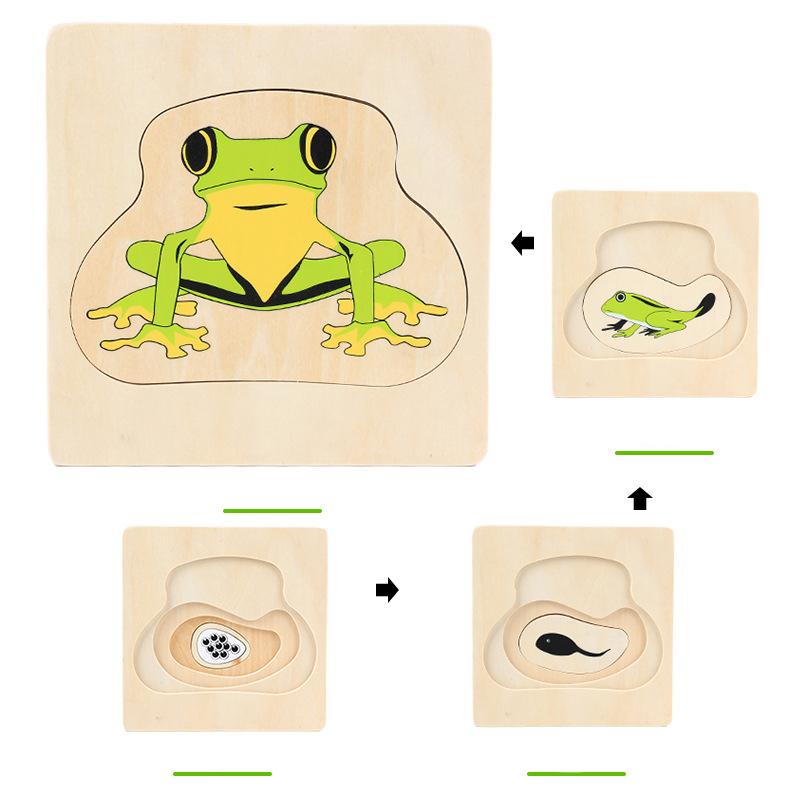 Wooden Kids Animal/ Plant Life Cycle 3D Puzzle Toy Montessori Teaching Aids Multi-Layer Jigsaw Early Learning Toys For Preschool
