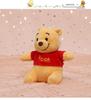 Disney Authentic Cute Winnie the Pooh Plush Bag Charm
