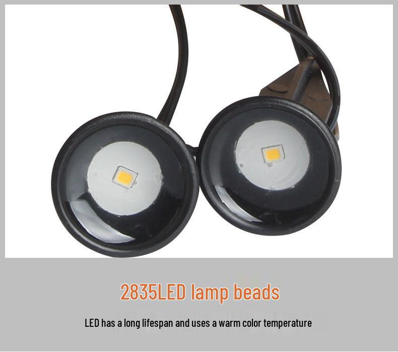 Clearance: Solar String Lights, One-to-Ten Set, Outdoor Waterproof Landscape & Pathway Decoration