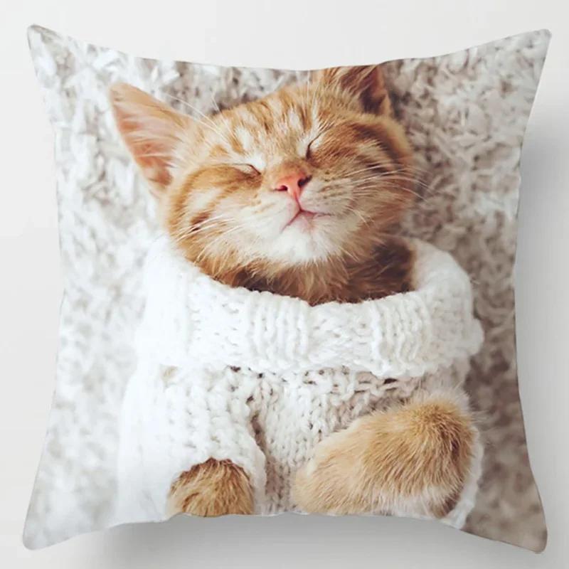 45X45CM Cat Collection Pillowcase Home and Office Decor Square Pillowcase