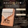 PERDIN Kalimba Beginner Set, 21 Keys, Pre-tuned, Includes Japanese Sheet Music, Beginner's Guide, Case, and Engraved Design. Made of Mahogany (Organic