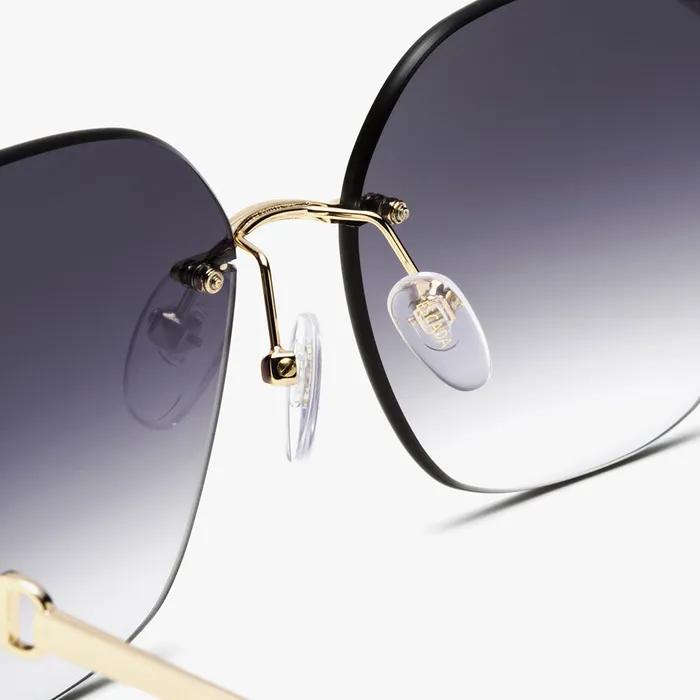 Sunglasses (SESF74B 0300 61)