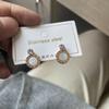 Black Rhinestone Round Stud Earrings, Rose Gold-Plated Titanium Steel, Simple Korean Style Women's Jewelry