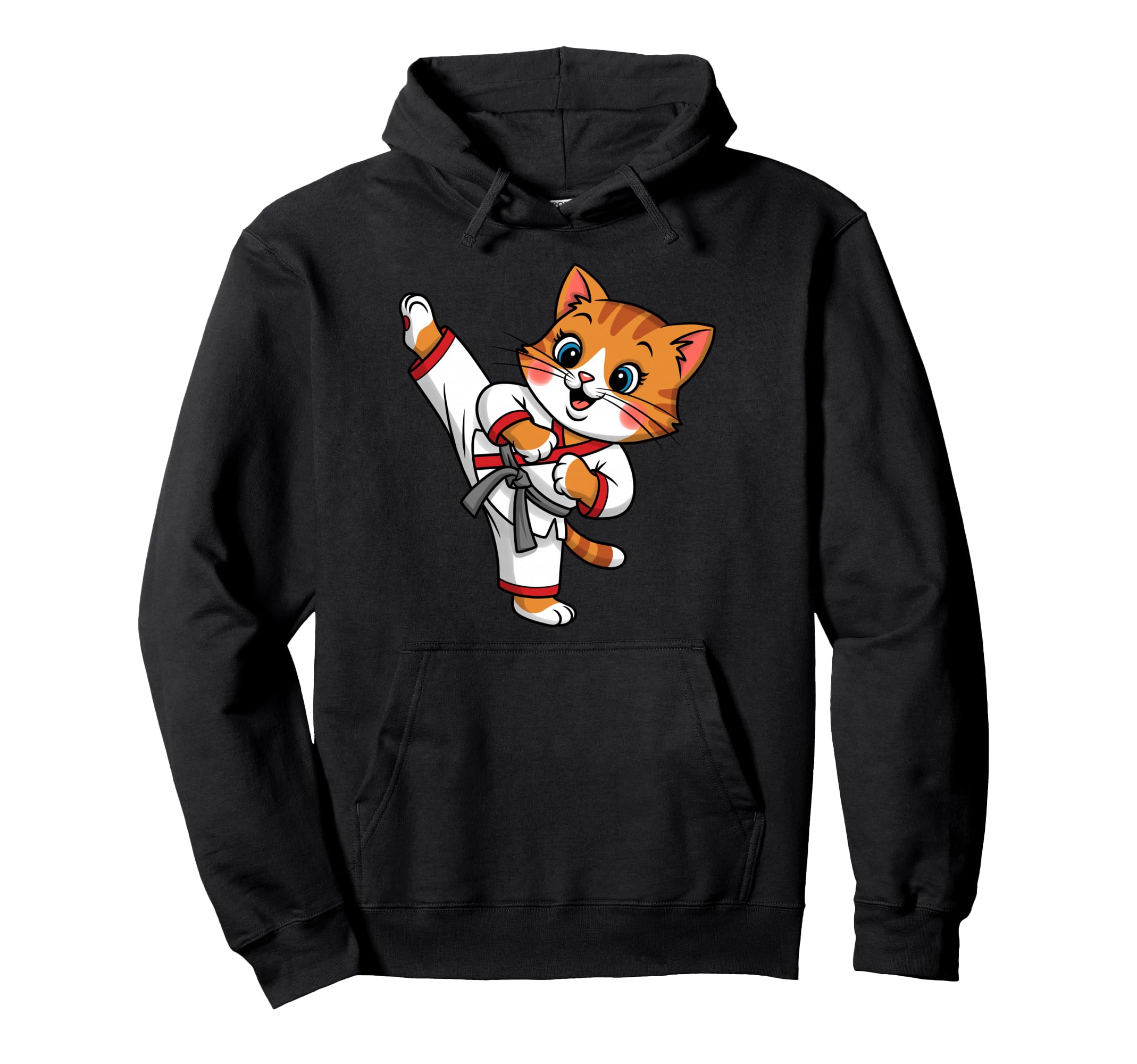 

Cat Karate Martial Arts Instructor Taekwondo Lover Hoodie чёрный