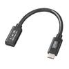 SANWA SUPPLY USB 5Gbps Extension Cable Type-C (PD100W, 0.1m) KU-5GCCP100EN01