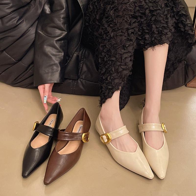 Pointed Mary Jane Single Shoes Women's Spring New Fashion Retro Shallow Mouth Thick Heel Small Leather Shoes