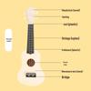 DIY Ukulele Craft Kit: Beginner-Friendly Handmade Small Guitar for Kids