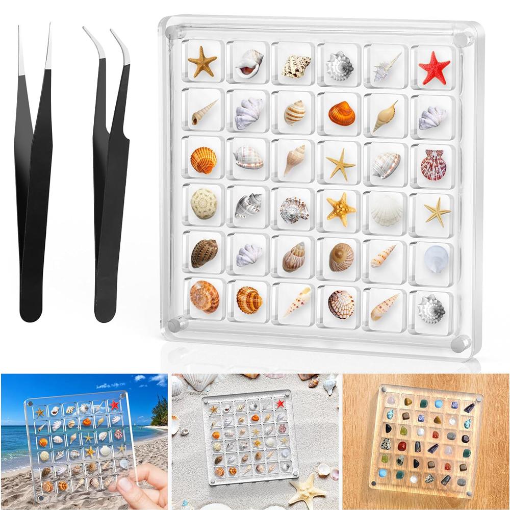 Acrylic Magnetic Seashell Display Box,Clear Sea Shell Display Box,Beach Magnet Storage Organizer Case for Seashell Diamond Beads