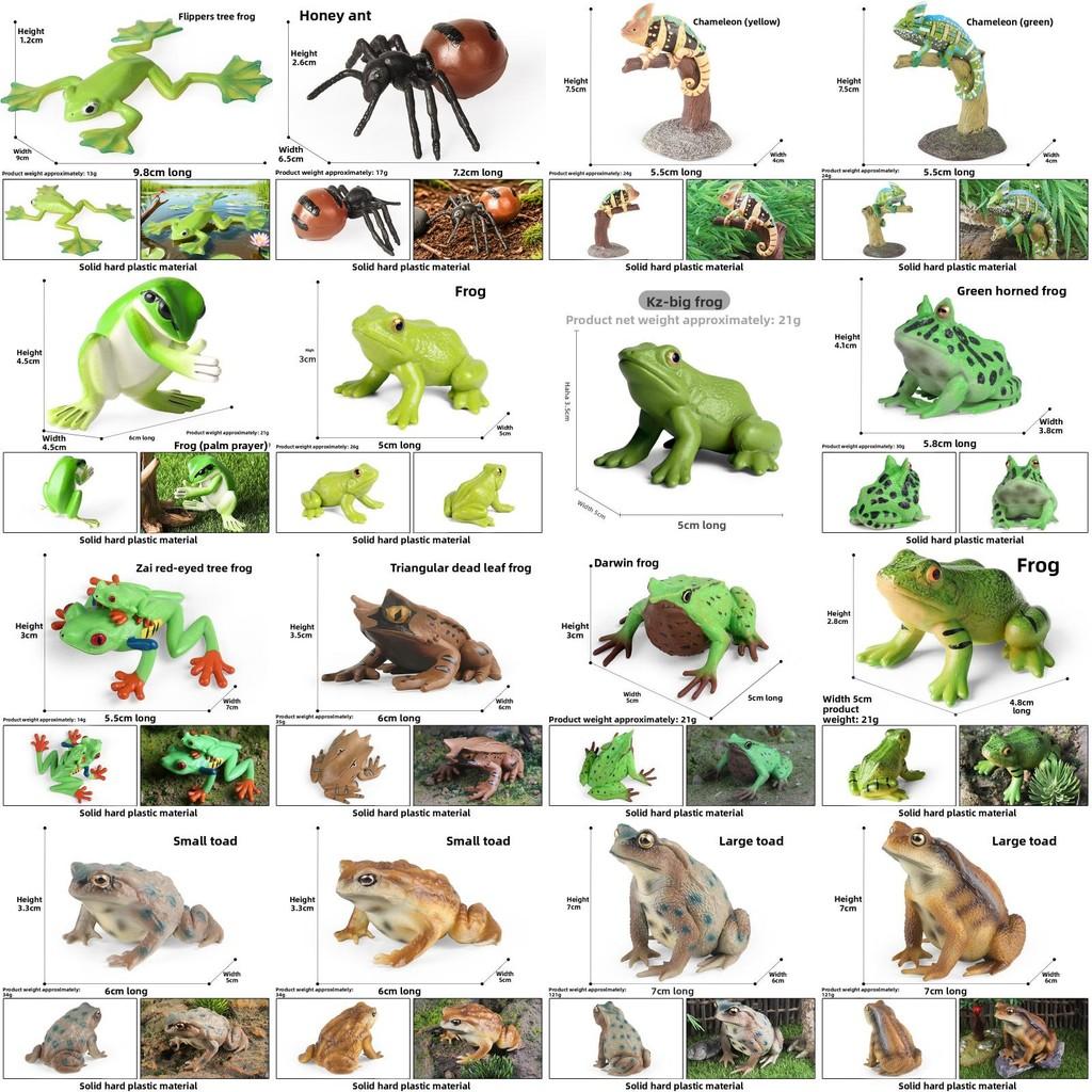 Animal Childrens Frog Plastic Model Toy For Educational Play Gift Collectors