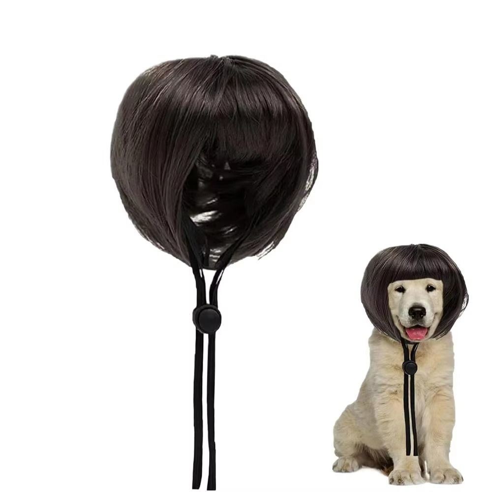 with Bangs Pet Bob Wig Exposed Ear Design Cat Fake Hair Cute Wigs For Dogs  Party Play Costume
