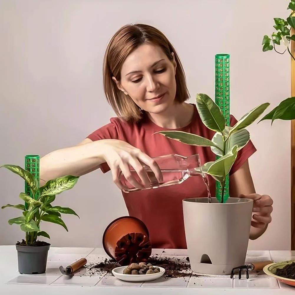 Moss Poles Plants Plant Support Plastic Transparent Reusable Indoor Potted Sticks Train Creeper Plant To Grow Upward For Garden