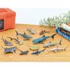 COLORATA 3D Fish Encyclopedia Shark Series Figure 12 Types Educational Toy with Explanation Book and Stand Realistic Food Sanitation Law Compliant Box