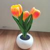Night Light USB Rechargeable Wireless Tulip LED Lamp Touch Control Dimmable Cute Desk Lamp for Bedroom Living Room Travel Gift for Women Mom