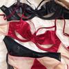 Set intimo francese ultra sottile Set reggiseno push up cavo sexy in pizzo Set bralette comfort in seta da donna Plus Size DE Cup Mutandine lingerie