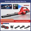 21V Cordless Brushless Power Blower CN Plug (adapter Included)