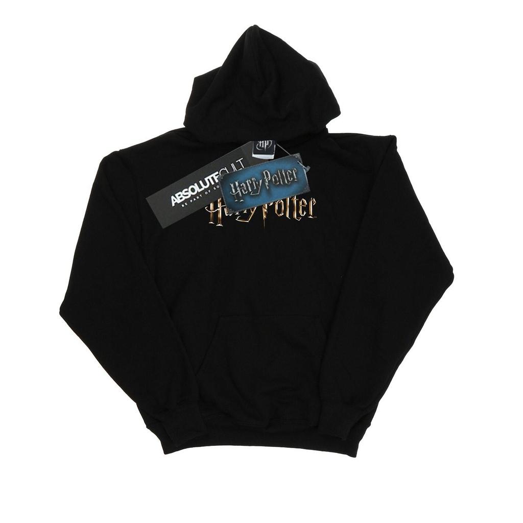Harry Potter Womens/Ladies Full Colour Logo Hoodie